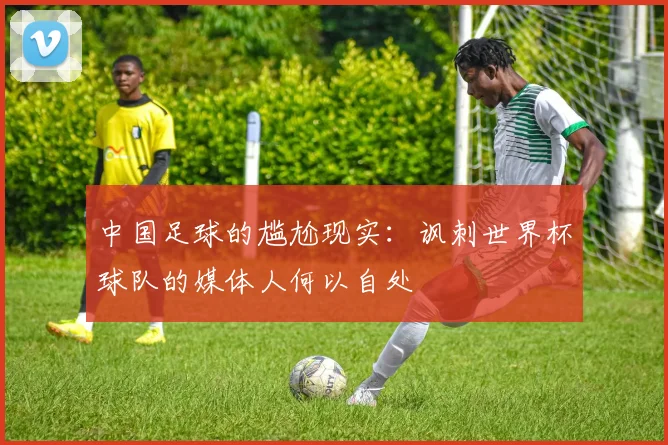 中国足球的尴尬现实：讽刺世界杯球队的媒体人何以自处